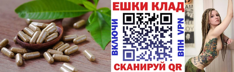 гидра зеркало  Симферополь  Экстази бентли 