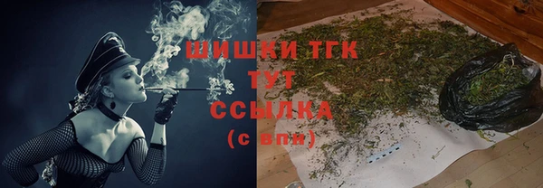 мдпв Богородицк