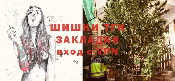 амф Богданович