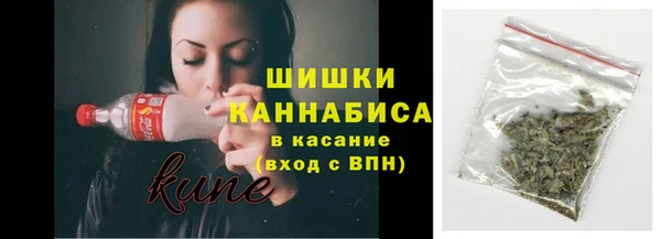 мдпв Богородицк