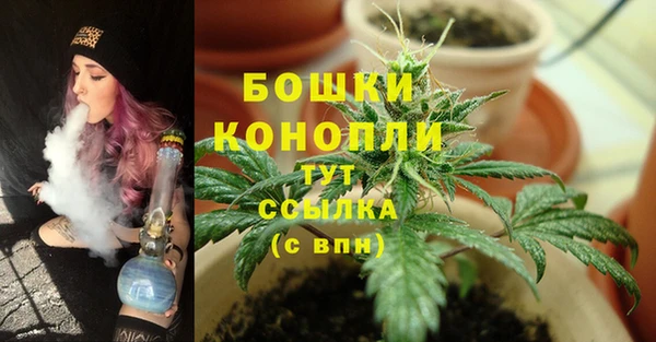 мдпв Богородицк